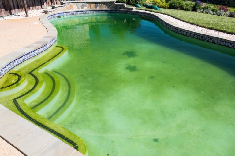 How to Get Rid of Black Mold in Pool