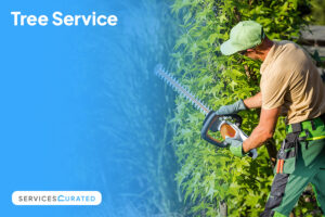 Tree-Service