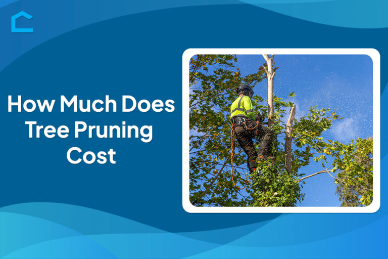 How Much Does Tree Pruning Cost?