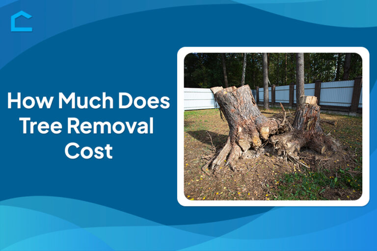 How Much Does Tree Removal Cost?