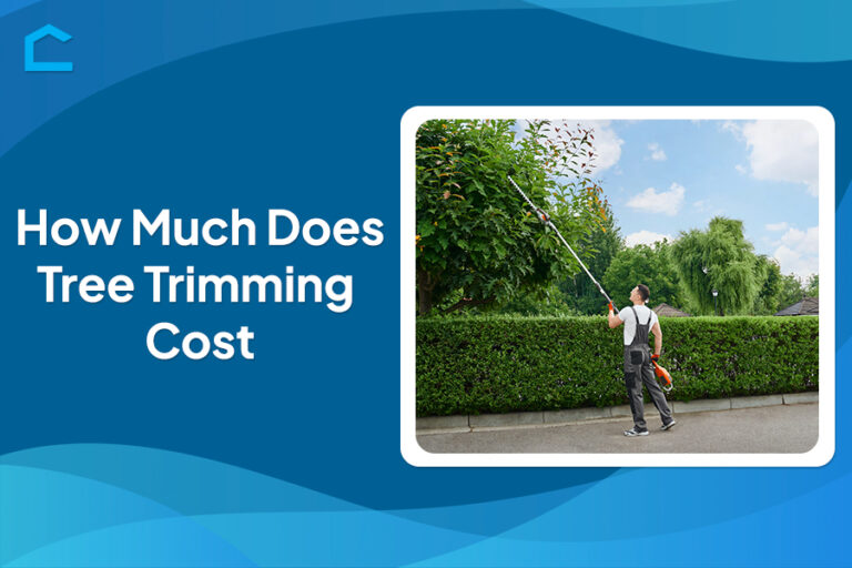 How Much Does Tree Trimming Cost?