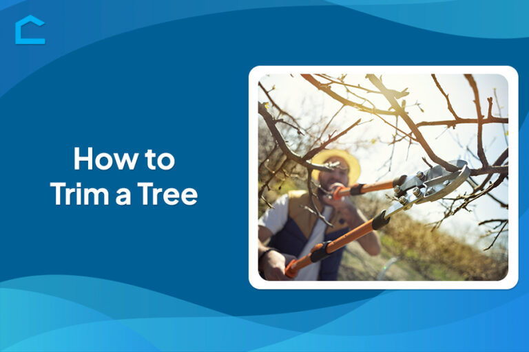 How to Trim a Tree