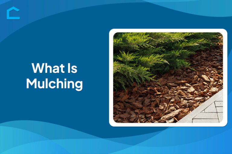 What Is Mulching?