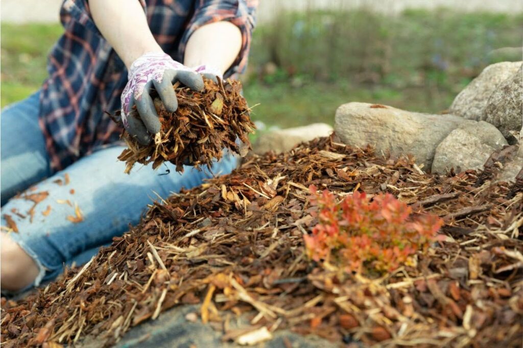 What Is Mulching