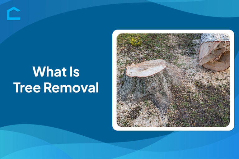 What Is Tree Removal?